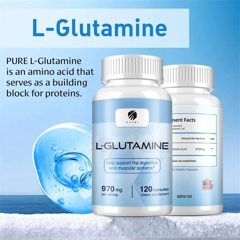 Nutrition Fitness Supplements - Suplemen L-Glutamine untuk Pemulihan Otot Setelah