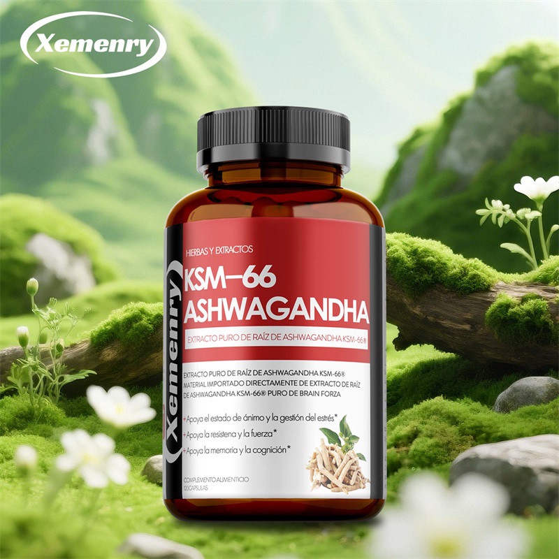 Ashwagandha Extract Root - KSM 66 Ekstrak Akar Ashwagandha dalam