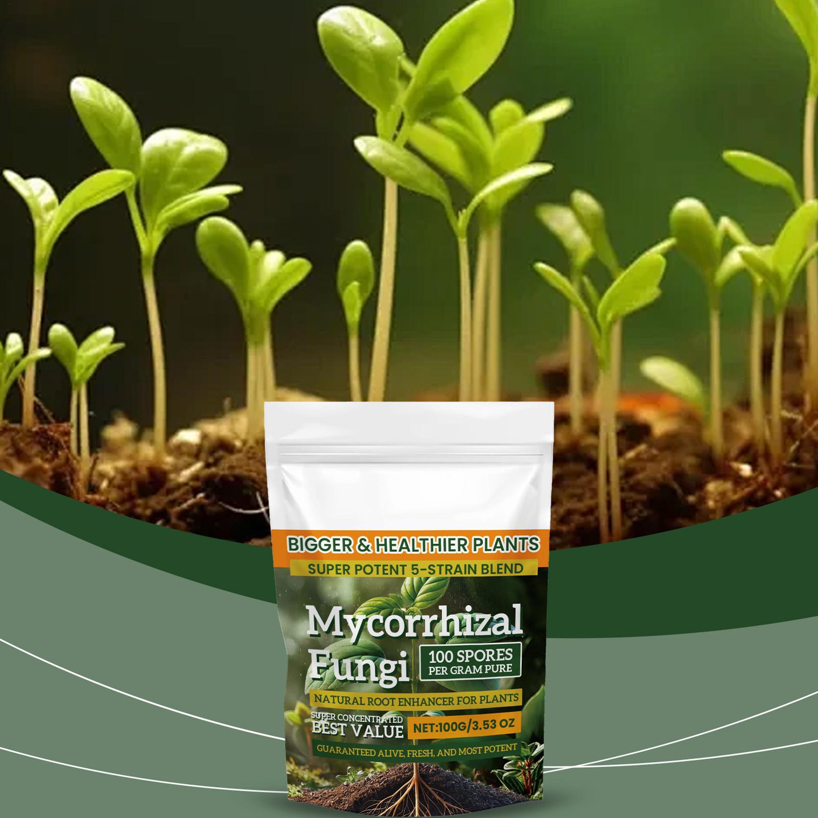 Roots Nutrition & Fitness Inglewood Photos - 100g Bubuk Peningkat Akar Tanaman Organik,