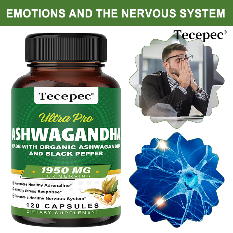 Ashwagandha Extract Root - Kapsul Ekstrak Akar Ashwagandha Organik 1950mg,