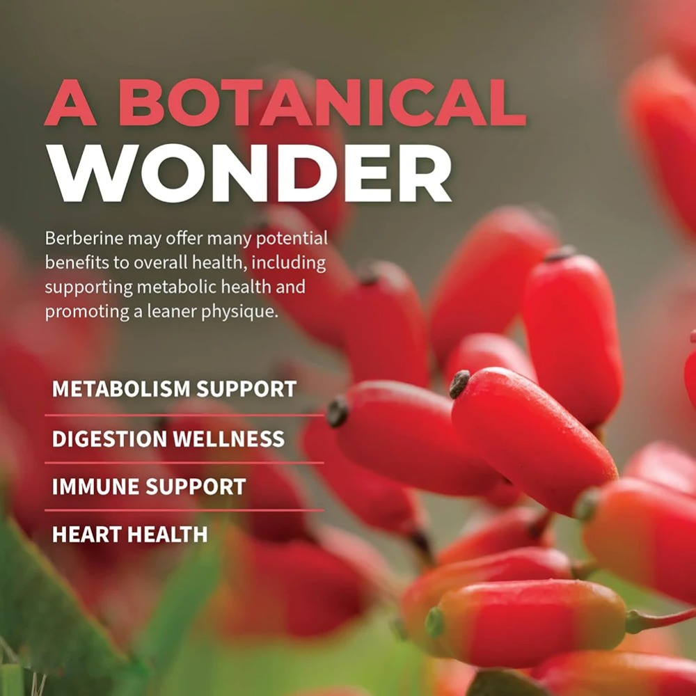 Berberine HCl dengan Kayu Mani - Berberine Hcl Capsule ulasan dan harga