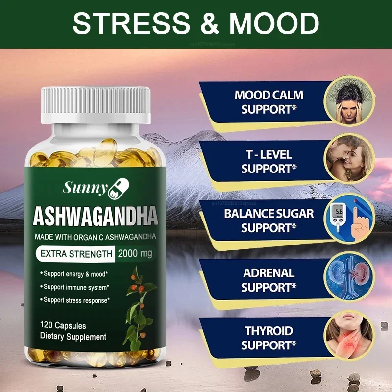 Kapsul Ekstrak Ashwagandha Ant - Ashwagandha Extract Root ulasan dan harga