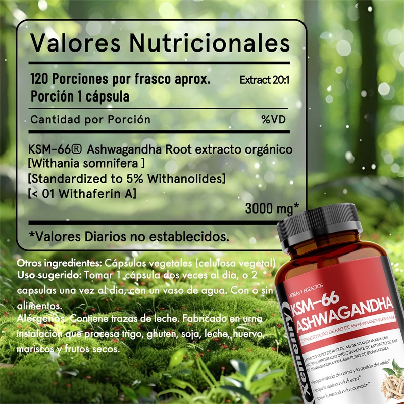 KSM 66 Ekstrak Akar Ashwagandh - Ashwagandha Extract Root ulasan dan harga