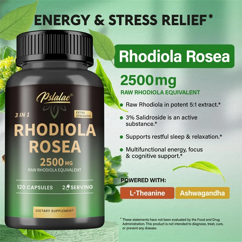 Suplemen Rhodiola Rosea Max -  - Ashwagandha Extract Root ulasan dan harga