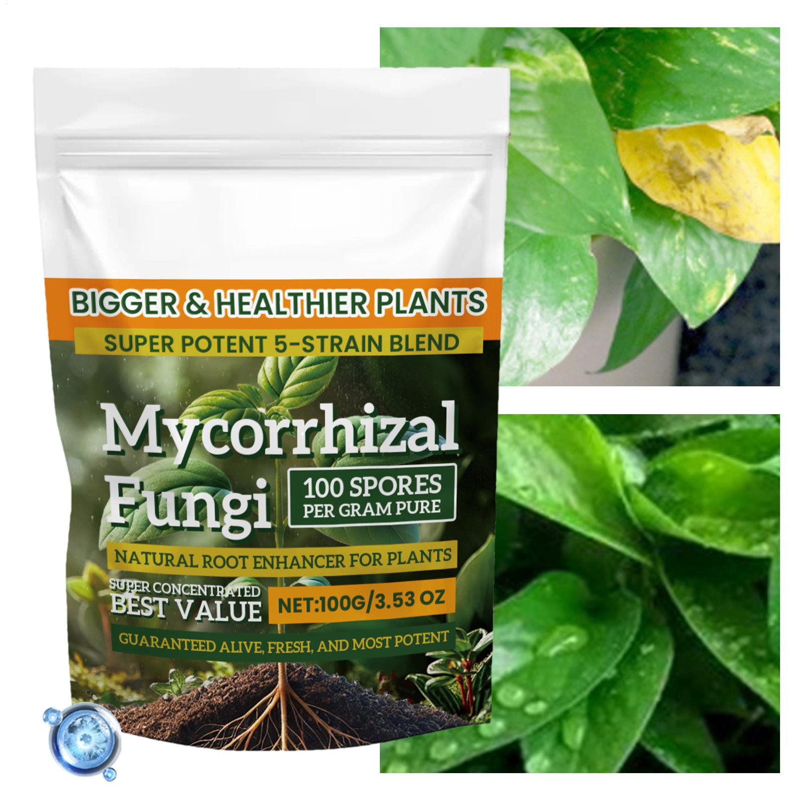 100g Bubuk Peningkat Akar Tana - Roots Nutrition & Fitness Inglewood Photos ulasan dan harga