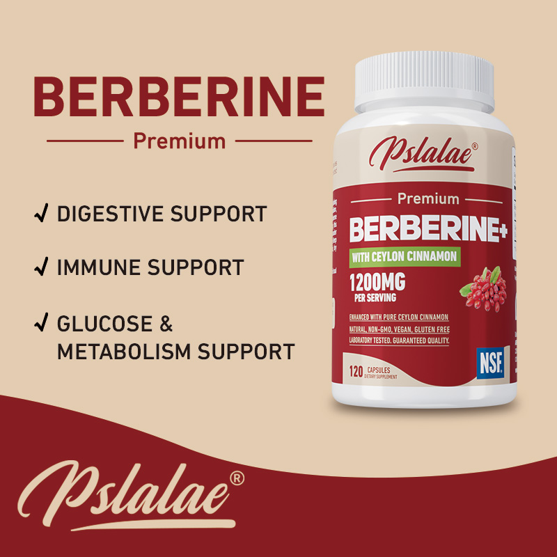 Berberine - Antioksidan, Mendu - Berberine Hcl Capsule ulasan dan harga