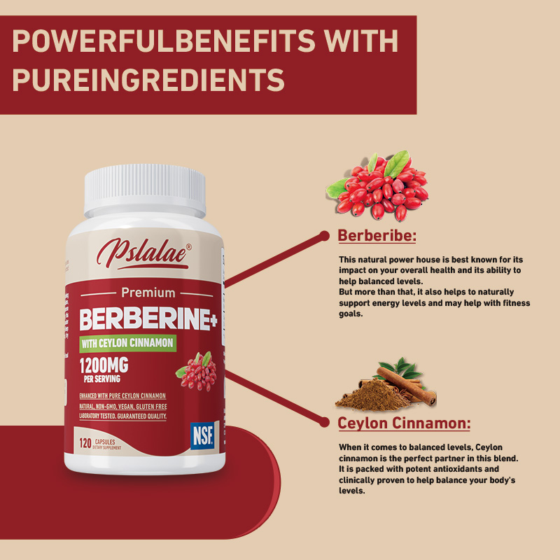 Berberine - Antioksidan, Mendu - Berberine Hcl Capsule ulasan dan harga