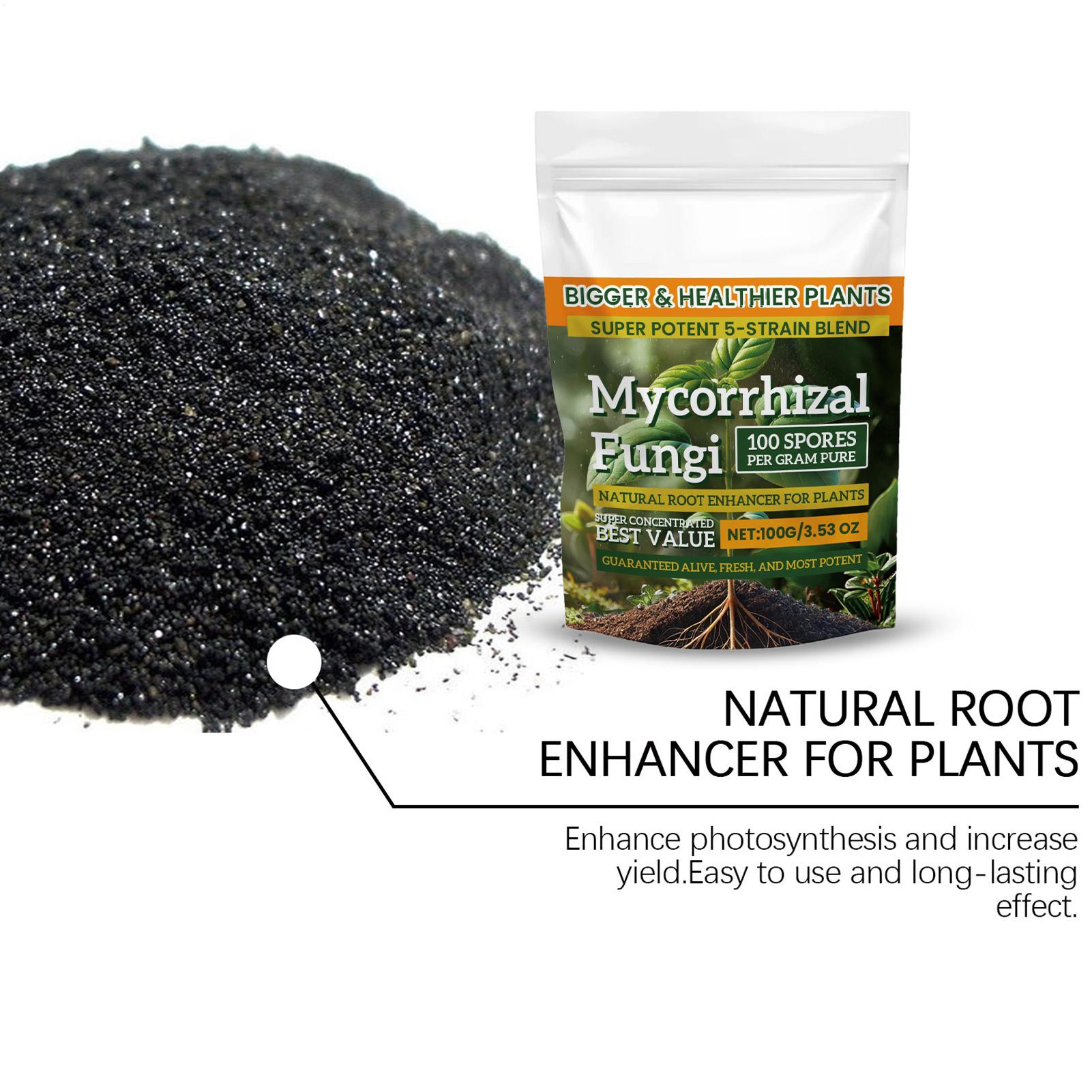 100g Bubuk Penguat Akar Nutris - Roots Nutrition & Fitness Inglewood Photos ulasan dan harga