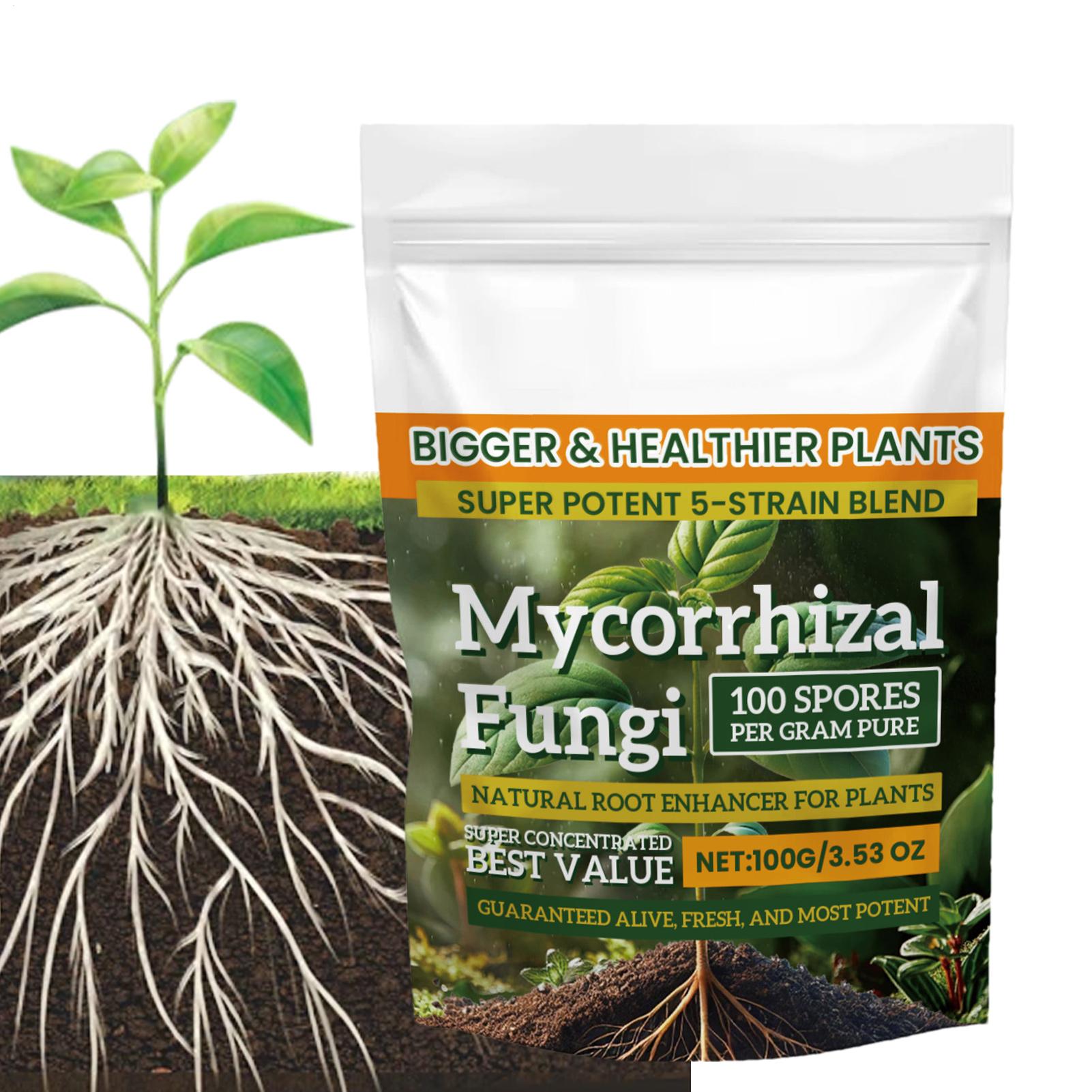 100g Bubuk Penguat Akar Nutris - Roots Nutrition & Fitness Inglewood Photos ulasan dan harga