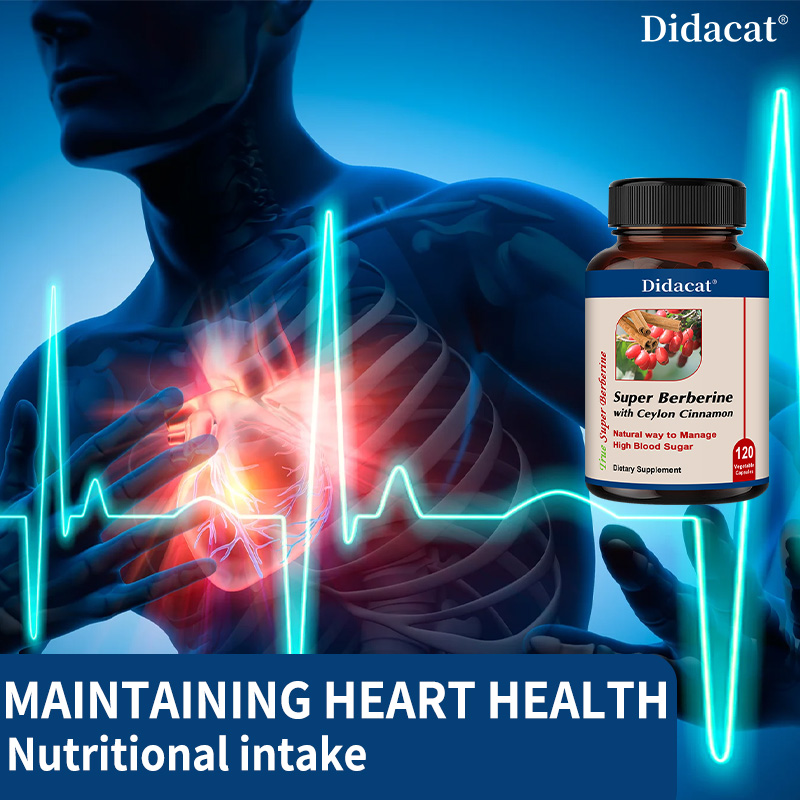 Berberine HCl dengan Kapsul Ka - Berberine Hcl Capsule ulasan dan harga